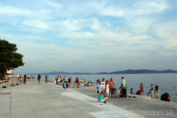 Havsorgel - Morske Orgulje i Zadar